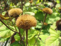 /album/fotogalerie-proste-krasne/oman-srpen-2011-446-jpg/